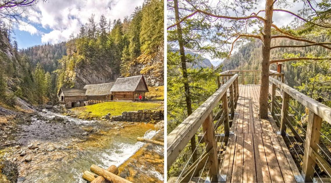 Prazdninove Byty U Kamarata Habovka Ngoại thất bức ảnh