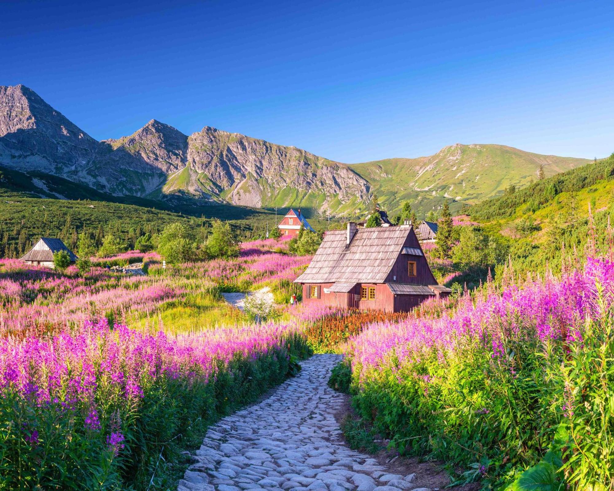 Prazdninove Byty U Kamarata Habovka Ngoại thất bức ảnh